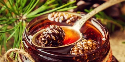 Çam Kozalağı Pekmezi