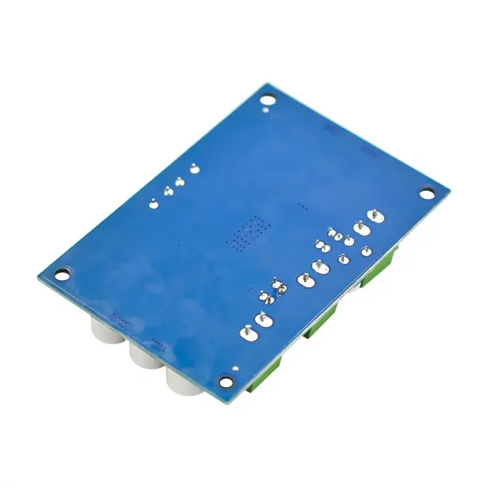 TPA3116 D2 12V-24V 100W Mono Dijital Ses Amplifikatör Modülü