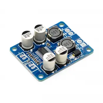 TPA3118 PBTL Mono Dijital Amplifikatör Kartı 1X60W
