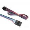 70cm 4 Pin Endstop için Dupont Kablo
