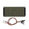 8×16 LED Nokta Matrix Modülü + PH 2.54 Konnektör + 4 Pin Kablo