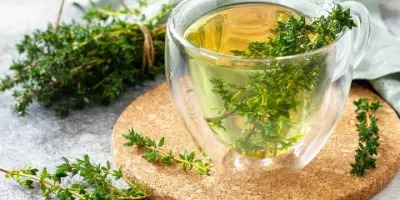 Kekik Çayının Faydaları Nelerdir?