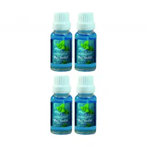 Buz Mentol 20 ml 4 Adet