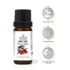Hint Yağı 20 ml