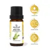 Nioli Yağı 10 ml
