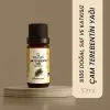 Çam Terebentin 10 ml