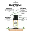 Okaliptüs Yağı 10 ml