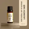 Lavanta Yağı 10 ml