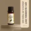 Çam Terebentin 10 ml