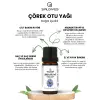 Çörek Otu Yağı 20 ml