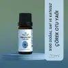 Çörek Otu Yağı 20 ml