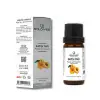 Kayısı Yağı 20 ml