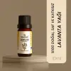 Lavanta Yağı 10 ml