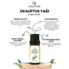 Okaliptüs Yağı 10 ml