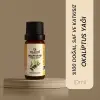 Okaliptüs Yağı 10 ml