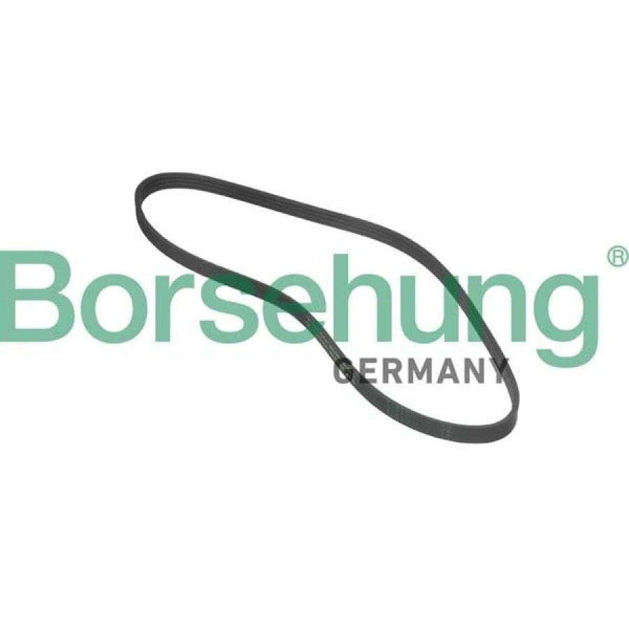 V KAYIŞ (4PK855S) R1