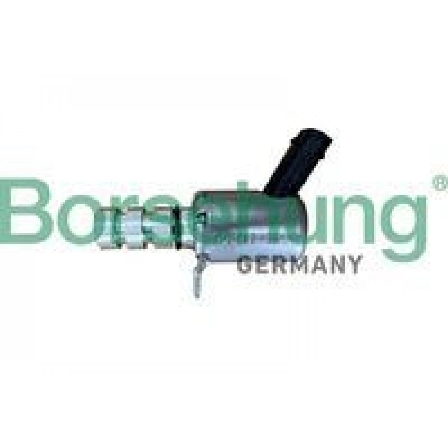 SOLENOİD VALF (EKSANTRİK MİLİ) BEETLE-CADDY 4-CC B7-GOLF 6-7-JETTA 4-PASSAT B8-POLO 5-SCIROCCO 3-TIGUAN-TOUAREG-A1 (FEBI 175056) BORSEHUNG B12313 T1