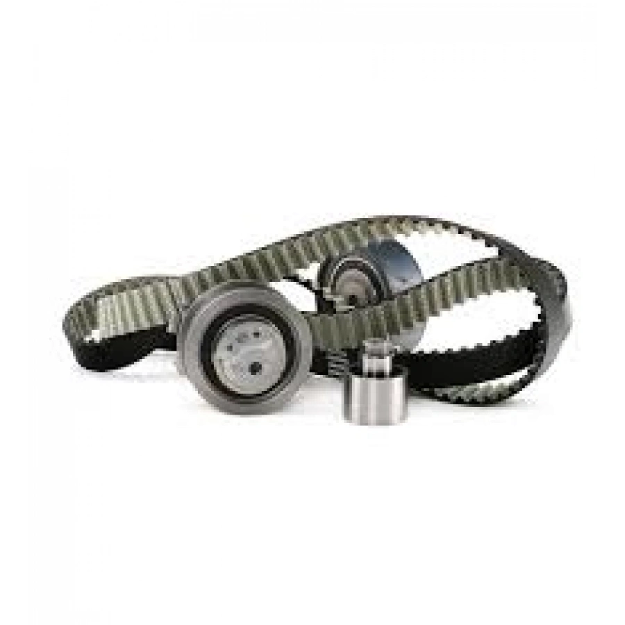 TRIGER SETI VW AUDI SEAT SKODA VW GOLF4 5 BORA A3 JETTA 1.6 AKL AEH BGU BSE BFQ ALZ 97 > INA 5300951100 (T1)