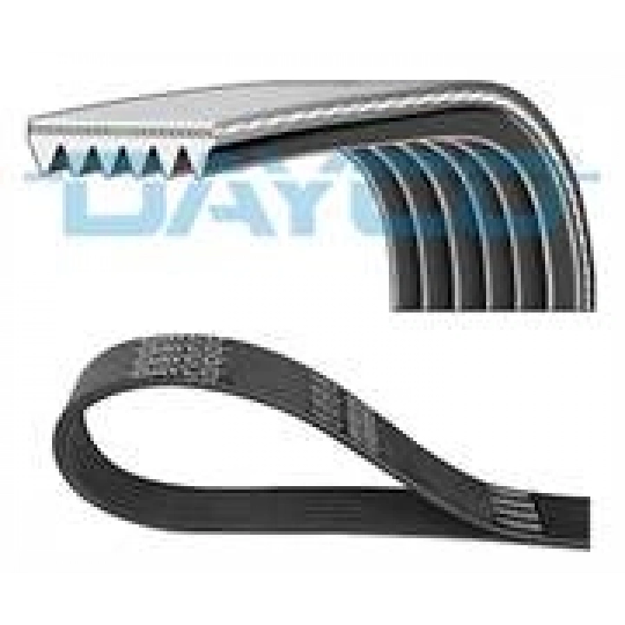 KANALLI KAYIS A3 GOLF V CADDY III PASSAT  DAYCO 6PK1050 (T1)