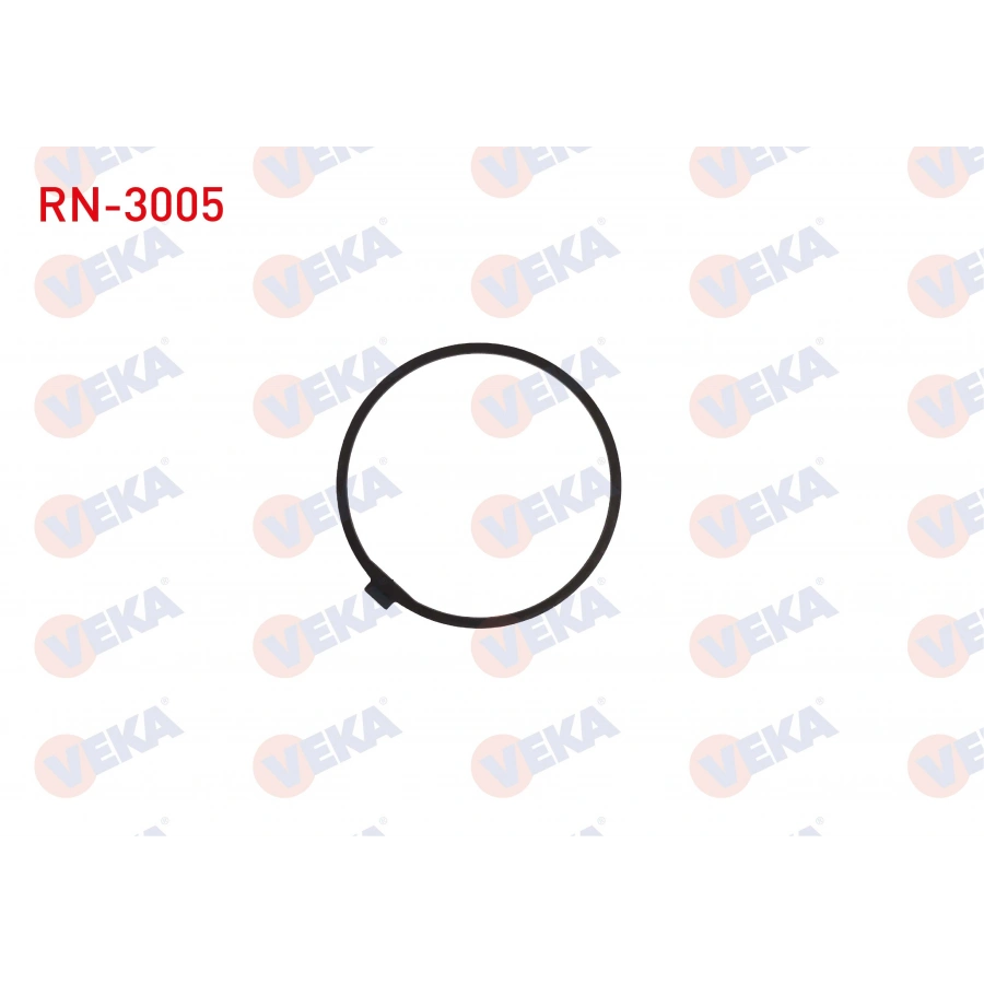 AKS DISLI SEKMANI TAKIM MASTER II 2003-2010