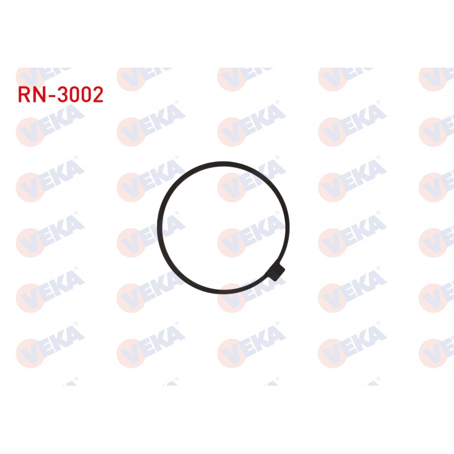 AKS DISLI SEKMANI TAKIM RENAULT 9 / 11