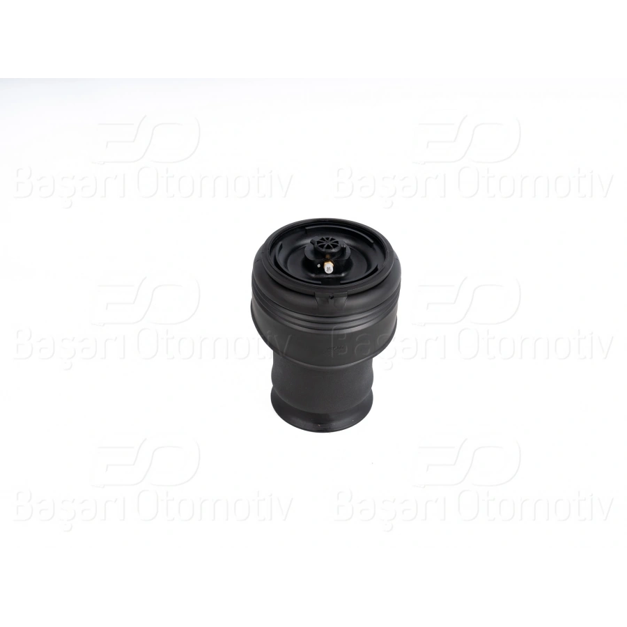 AMORTISOR KORUGU ARKA BMW X5 E70 X6 E71 07 >