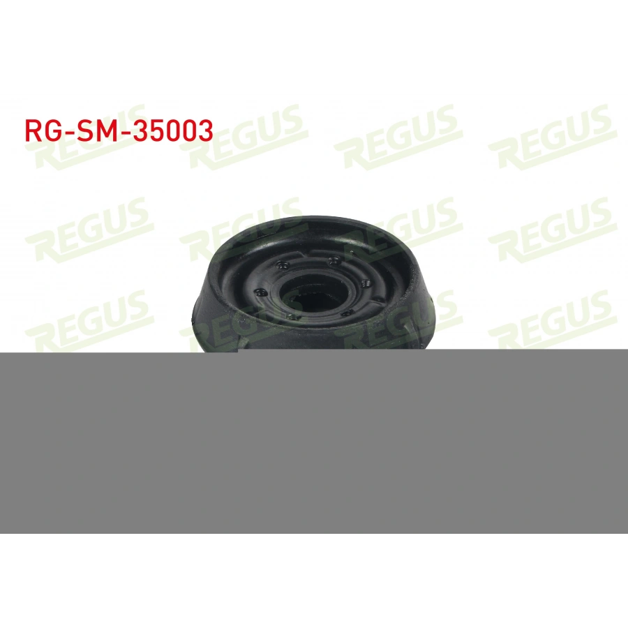 AMORTISOR TAKOZU CLIO / KANGOO