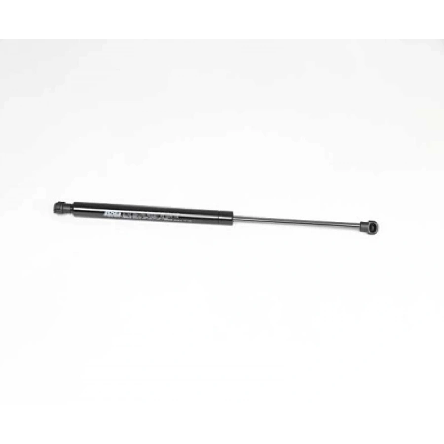 ARKA CAM AMORTISÖRÜ MEGANE Scenic 99 (JA0_) {2} / MEGANE Scenic TT {2} BM 98-03