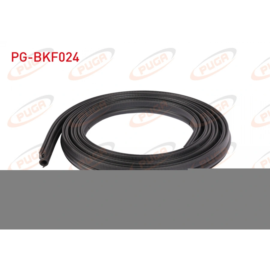 BAGAJ FITILI DACIA DUSTER