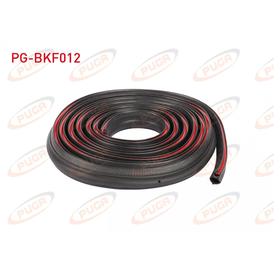 BAGAJ FITILI RENAULT 12 - TOROS SW