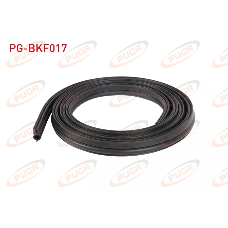 BAGAJ FITILI RENAULT FLUENCE