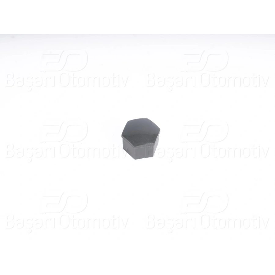 BIJON KAPAGI SKODA OCTAVIA FABIA ROOMSTER 04 >