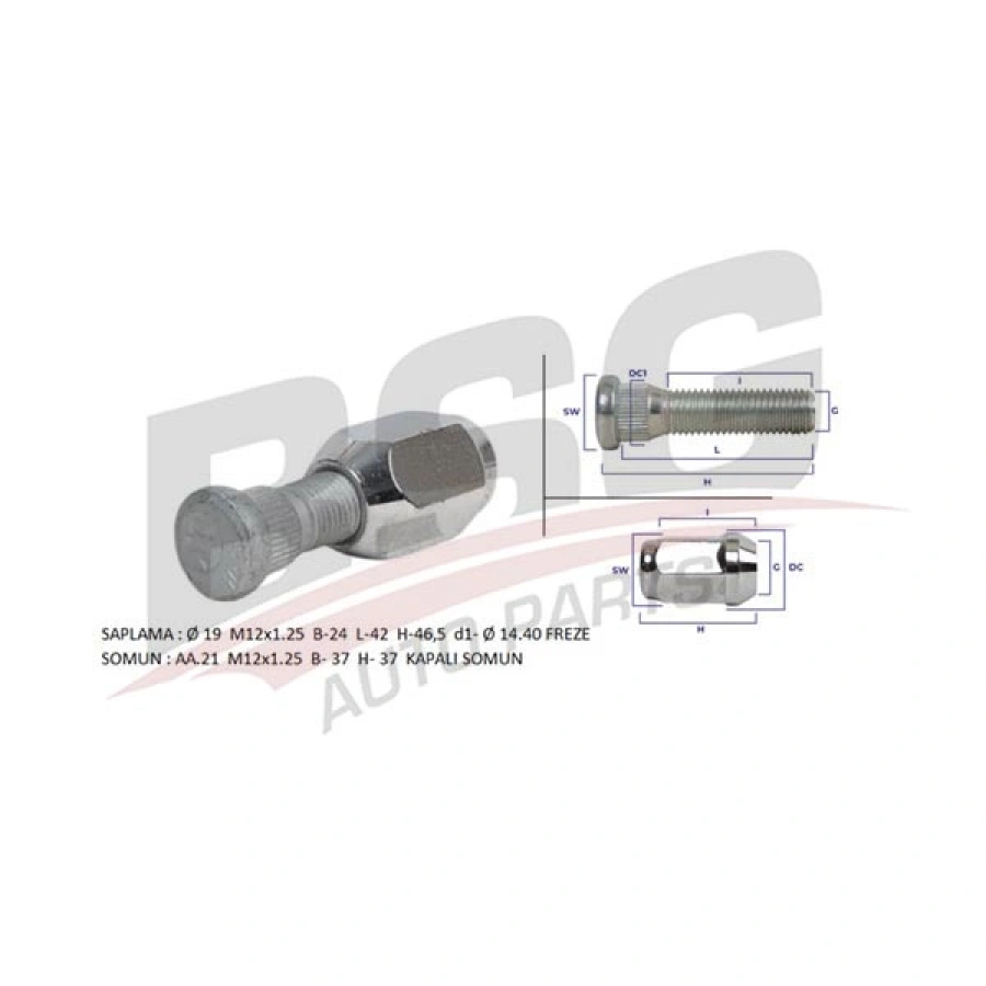 BIJON SETI PRIMERA P11 96-00