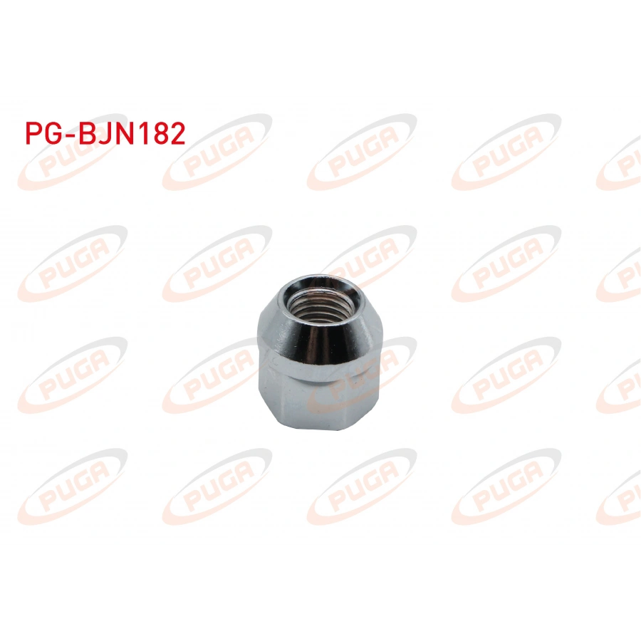 BIJON SOMUNU COURIER - CONNECT