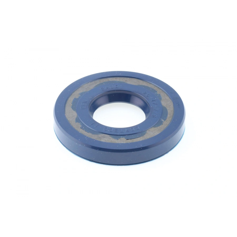 CONTA CARRARO, GOLDONI, LANDINI, MAN BM .