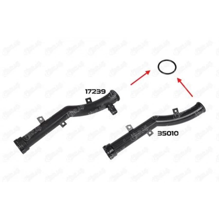 CONTA GRANDLAND BM 19-