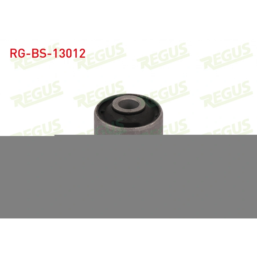 SALINCAK BURCU ARKA AUDI A80