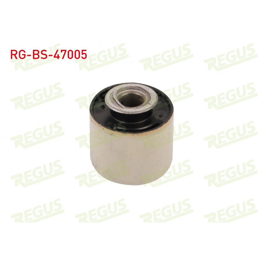 DENGE KOLU BURCU ARKA SOL-SAG DACIA DUSTER 1.5 DCI 2010-