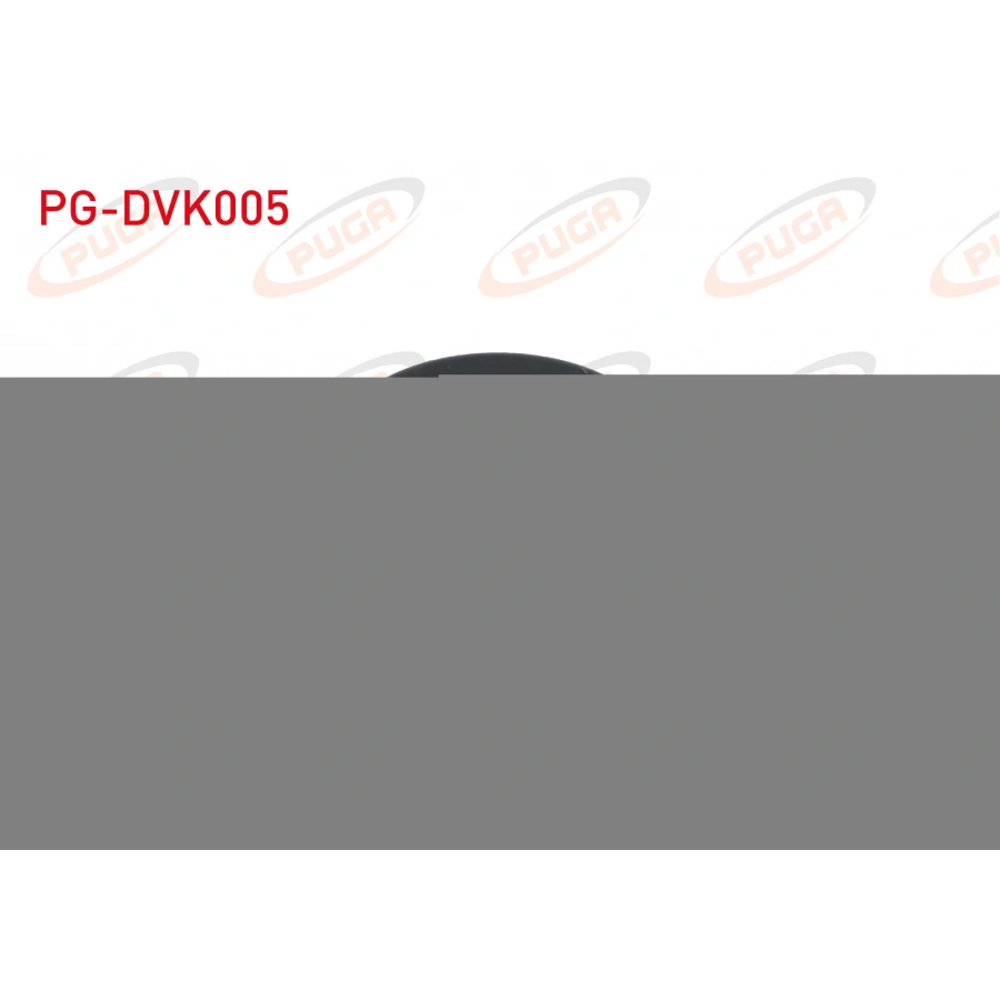 DEVIRDAIM KASNAGI RENAULT MEGANE IV / CLIO V / TALISMAN / CAPTUR II / KOLEOS II / KADJAR / DACIA DUSTER II / 1.3 TCe H5H