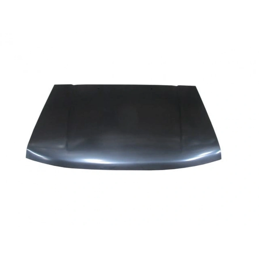 DFM PICK UP- RICH- 10/12; MOTOR KAPUTU  (MY)