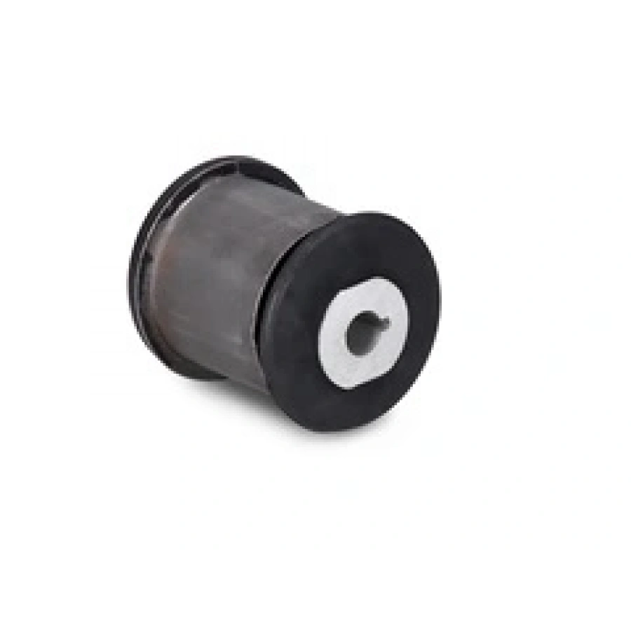 DINGIL BURCU ARKA SAG T5-T6 BM 04-