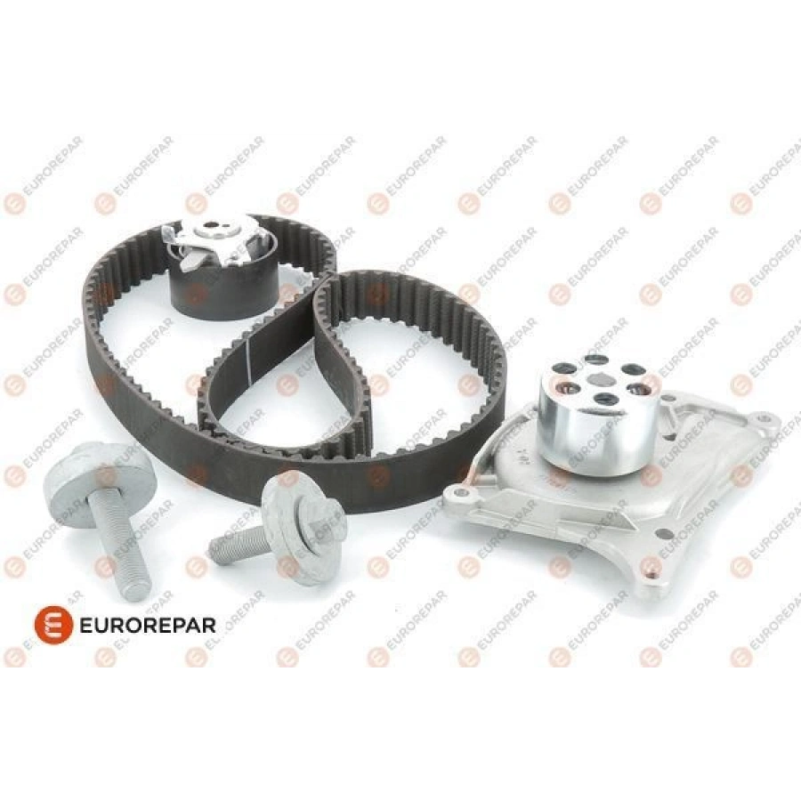 EERPMQTRIGERKAYISI 97-00