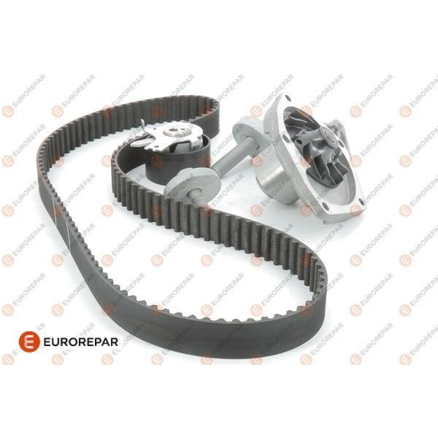 EERPMQTRIGERKAYISI 97-00