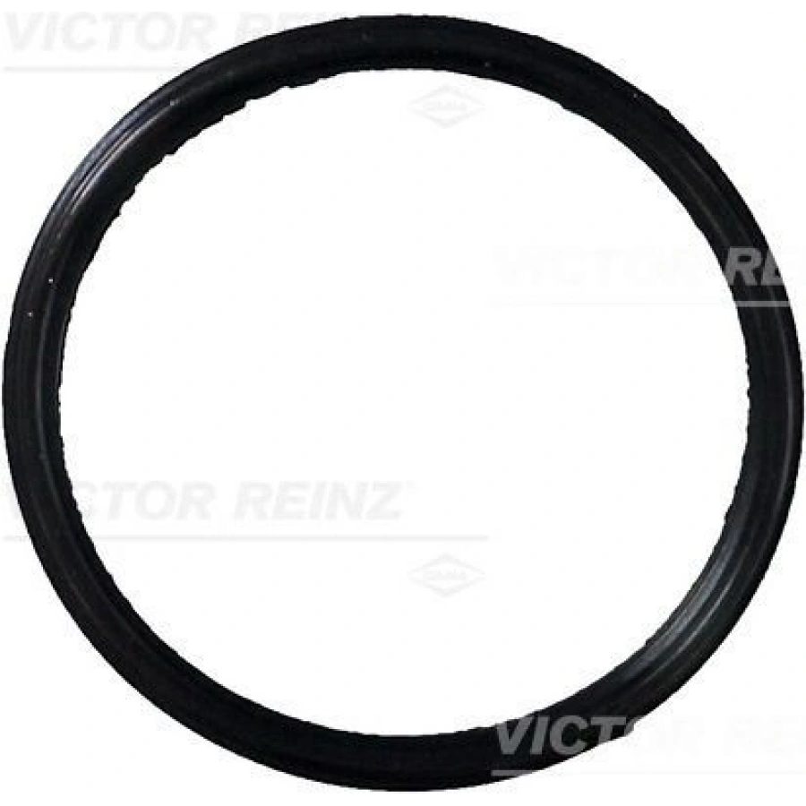 EGZOZ MANİFOLD CONTASI