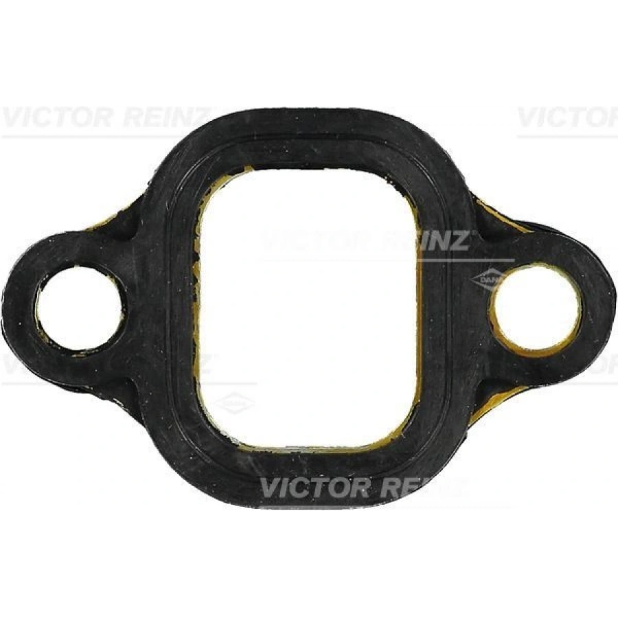 EGZOZ MANİFOLD CONTASI