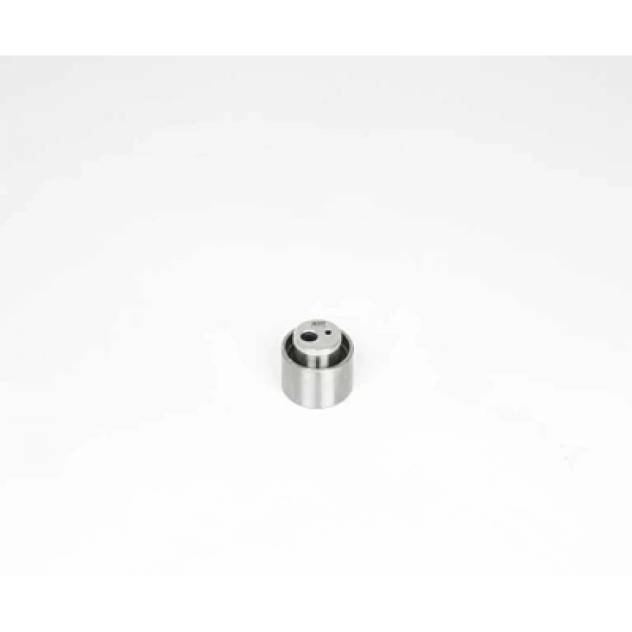 EKSANTRIK GERGI RULMANI PARTNER/306/206 1.9 DW8 99-