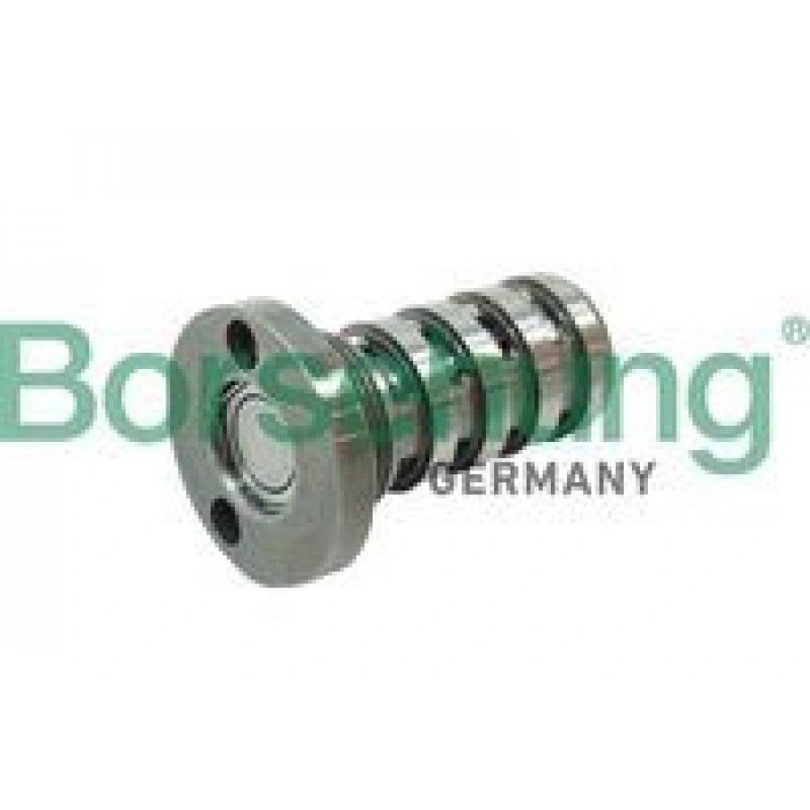 EKSANTRİK MİL VALFİ (GERGİ CİVATASI) PASSAT/AUDI A4/A6/1,8 TSI/2,0 TSI (INA427 0016 10) (FEBİ40201) R1