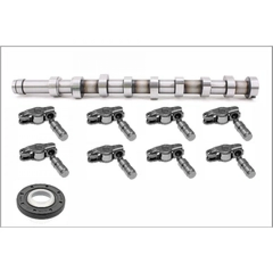 EKSANTRIK MILI (EKSANTRIK MIL + 8 ADET ITICI+ 8 ADET YAGLAYICI) SET FOCUS COURIER BERLINGO 301 308 3008 S60 MAZDA 2 CROSSLAND X SCUDO 1.5-1.6 HDI-TDCI 11-