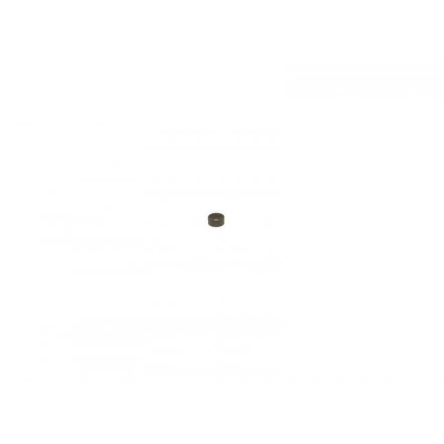 ENJEKTOR ORINGI BW.1-SERI(F20-F30) 5-SERI (F10) O.SIP (R1)