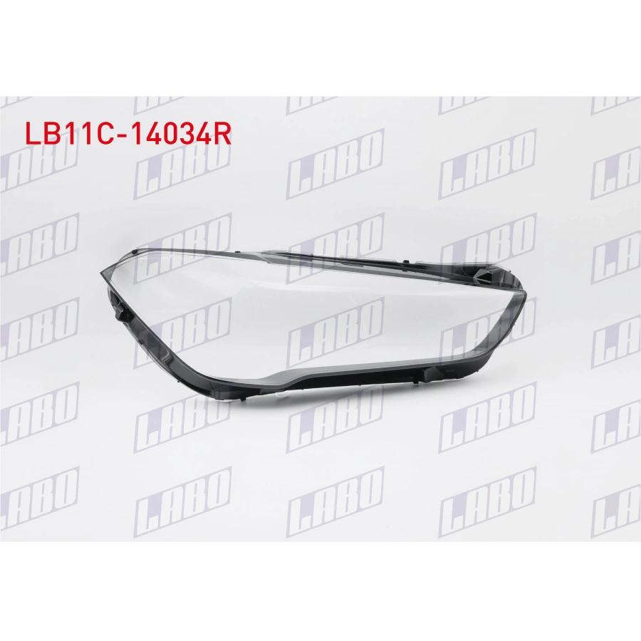 FAR CAMI SAG BMW X1 (F48 LCI) 2019-2021 (A1)